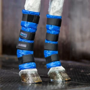 Win a Pair of LeMieux Arctic Ice Boots