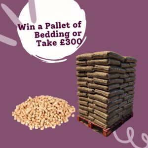 Win a Pallet of Bedding or £300 Cash