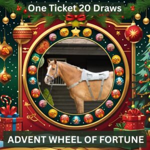 Alternative view of Our Famous Advent Draw is Back - Special Launch Price, 1 Ticket = 20 Draws!!