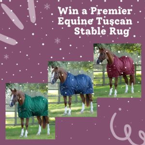 Win a Premier Equine Tuscan 100g Stable Rug