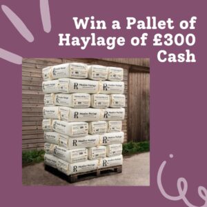 Win a Pallet of Redpost Meadow Grass Haylage or Take £300 Cash