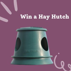 Win a Medium Hay Hutch and Save Money on Hay Wastage this Winter