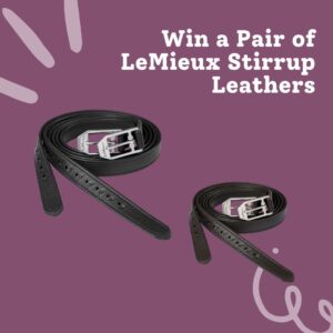 Win a Pair of LeMieux Arika Stirrup Leathers