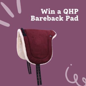 Win a QHP Bareback Pad