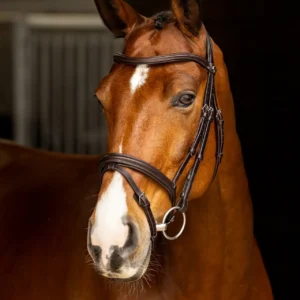 Alternative view of Win a Arika Flash Bridle in Your Chosen Size and Colour