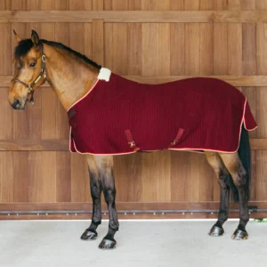 Alternative view of Win a Kentucky PROTherm Cooler Rug