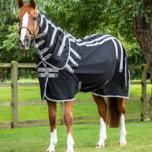 Win a Premier Equine Magnetic Rug