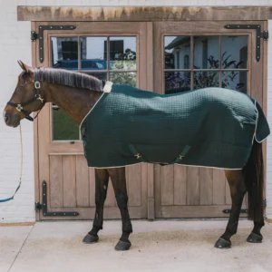 Win a Kentucky PROTherm Cooler Rug